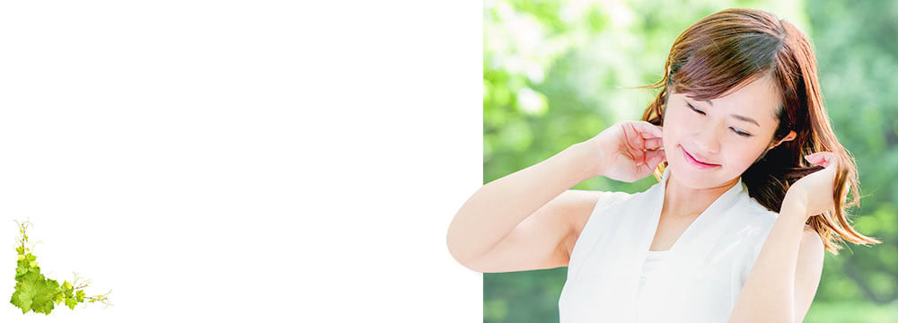 ���v�т�����ŏ�������Ȃ獂���\�ƒ�p����E�ъ�P�m���v���~�A��